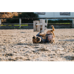 Camisa polar para perro Equithème Marino Azul marino