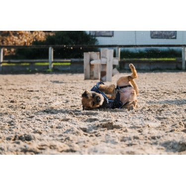 Camisa polar para perro Equithème Marino Azul marino