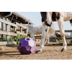 Pelota anti-glotón para heno HIPPOTONIC Púrpura Violeta Pelota anti-glotón para heno HIPPOTONIC Púrpura Violeta