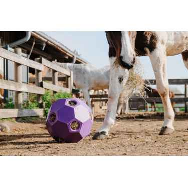 Pelota anti-glotón para heno HIPPOTONIC Púrpura Violeta Pelota anti-glotón para heno HIPPOTONIC Púrpura Violeta