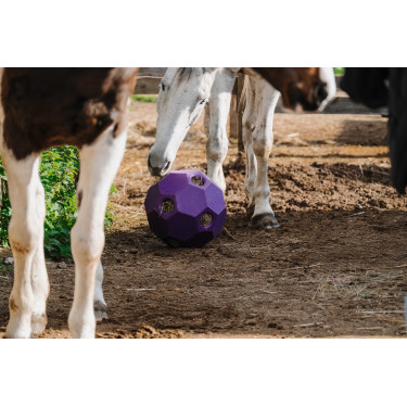 Pelota anti-glotón para heno HIPPOTONIC Púrpura Violeta Pelota anti-glotón para heno HIPPOTONIC Púrpura Violeta