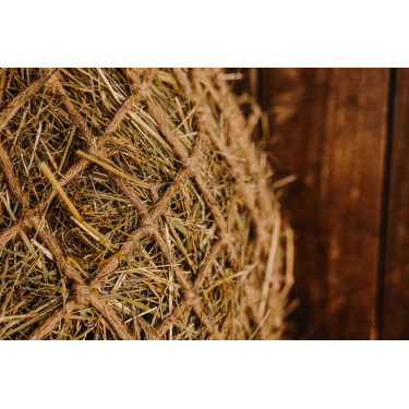 Red para heno HIPPOTONIC - Natural Natural Marrón