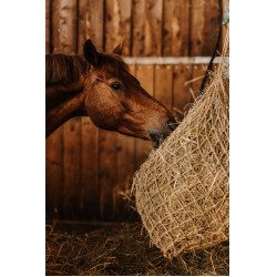 Red para heno HIPPOTONIC - Natural Natural Marrón