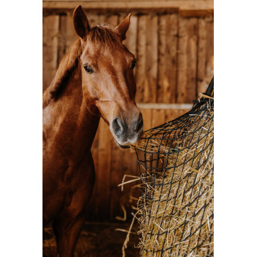 Red para heno HIPPOTONIC - Rectángulo Negro