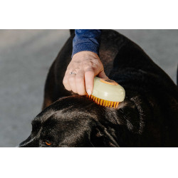 Etrillo Hippotonic Vapor Crema Beige