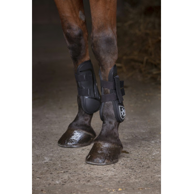 Protectores de tendón Norton XTR Negro