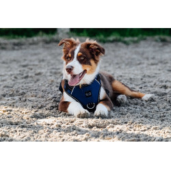 Arnés para perros RIDING WORLD - Simba Marino Azul marino
