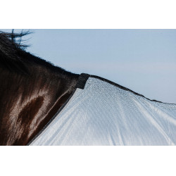 Camisa Riding World Belly Mesh Gris