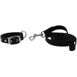 Collar y correa para perro RIDING WORLD - Oscar Negro