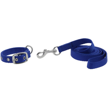 Collar y correa para perro RIDING WORLD - Oscar Azul real