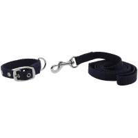 Collar y correa para perro RIDING WORLD - Oscar Azul real