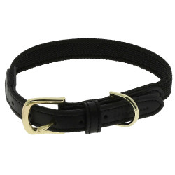 Collar para perro EQUITHÈME - Nala Negro