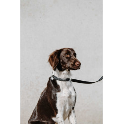 Collar para perro EQUITHÈME - Nala Negro