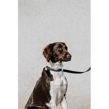 Collar para perro EQUITHÈME - Nala Negro