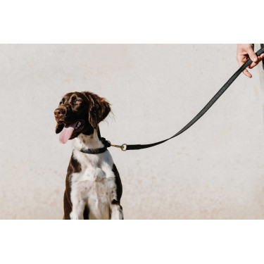 Collar para perro EQUITHÈME - Nala Negro