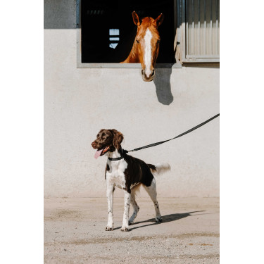 Collar para perro EQUITHÈME - Nala Negro
