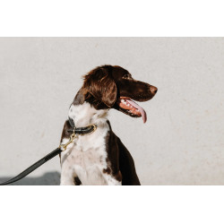 Collar para perro EQUITHÈME - Nala Negro