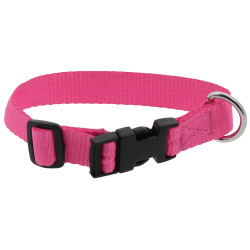 Collar para perro RIDING WORLD - Pat Rosa