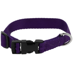 Collar para perro RIDING WORLD - Pat Púrpura Violeta