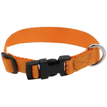 Collar para perro RIDING WORLD - Pat Naranja