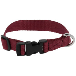 Collar para perro RIDING WORLD - Pat Burdeos