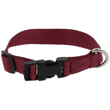 Collar para perro RIDING WORLD - Pat Burdeos