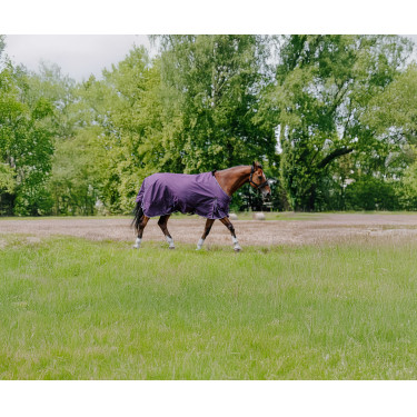 Manta EQUITHÈME - TYREX Aisance 600D Ciruela Violeta