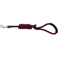 Correa para perro con asa RIDING WORLD - Lucky Azul real