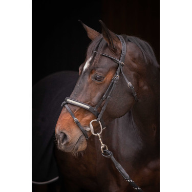 Cabezada PENELOPE - Symphonie SR - Negro