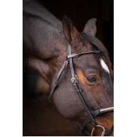 Cabezada PENELOPE - Symphonie SR - Negro