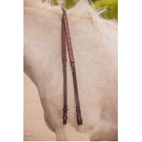 Riendas Eden Pénélope Havana Marrón