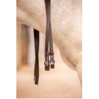 Riendas Eden Pénélope Havana Marrón