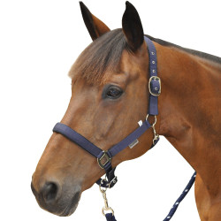 Cabezada de cuadra acolchada Canter Cabezada de cuadra acolchada Canter