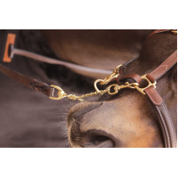 Longe présentation 2m25 PADDOCK Castaño Marr&amp;oacute;n