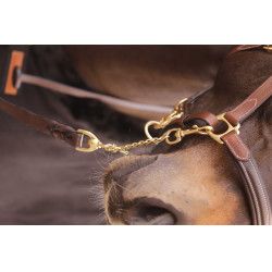 Longe présentation 2m25 PADDOCK Castaño Marr&amp;oacute;n