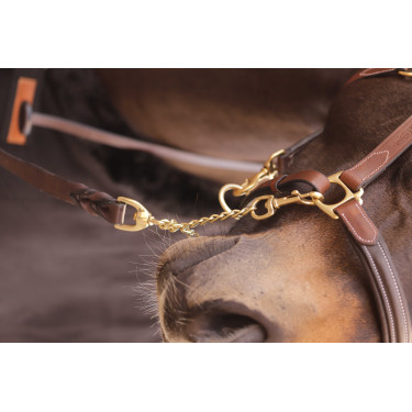 Longe présentation 2m25 PADDOCK Castaño Marr&amp;oacute;n