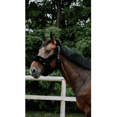 Licol Je t'aime EQUITHÈME - Snuggy Negro