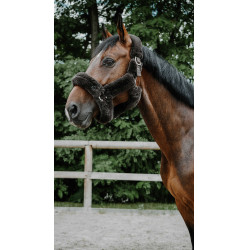 Licol Je t'aime EQUITHÈME - Snuggy Castaño Marrón