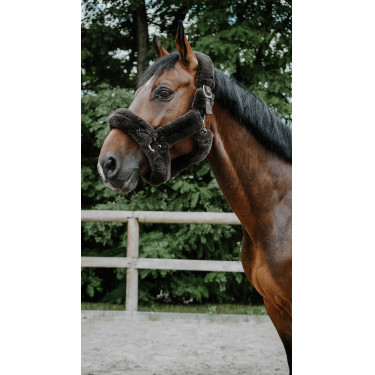 Licol Je t'aime EQUITHÈME - Snuggy Castaño Marrón