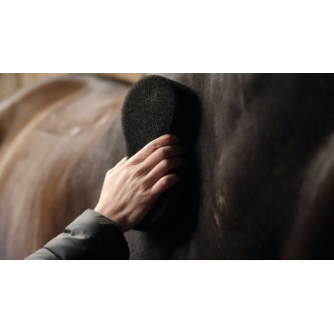 Esponja LAMI-CELL – Shine Scrubber Negro