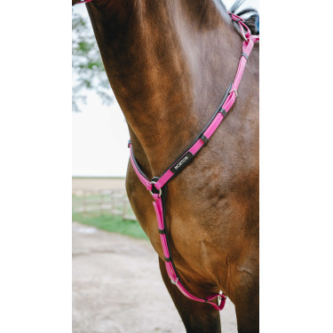 Collier de chasse Endurance NORTON - Pop Rosa