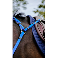 Collier de chasse Endurance NORTON - Pop Azul real