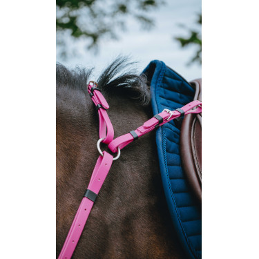 Collier de chasse Endurance NORTON - Pop Rosa