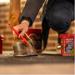 Grasa para cascos KEVIN BACON'S - Hoof Dressing Invierno Grasa para cascos KEVIN BACON'S - Hoof Dressing Invierno