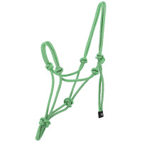 Licol éthologique NORTON - Glim Verde claro / plata