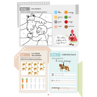 Mi libro de actividades Lavauzelle Nivel Sección Grande