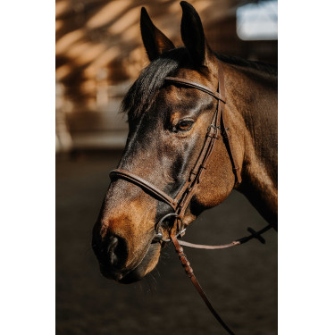 Brida Norton Hunter suave Castaño Marrón