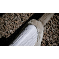 Amortiguador Equithème Combo Master