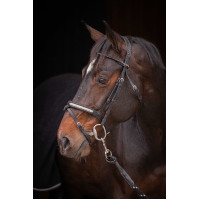 Cabezada PENELOPE - Symphonie SR - Negro