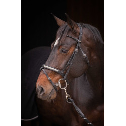 Cabezada PENELOPE - Symphonie SR - Negro